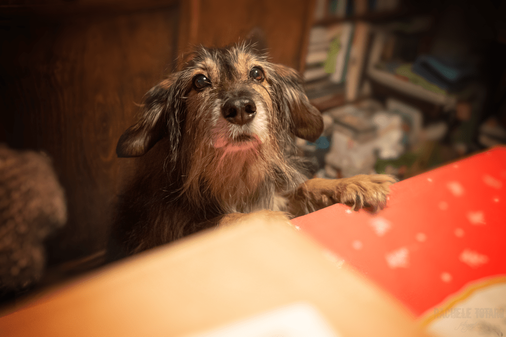 Teo in piedi per osservare una scatola posata sul tavolo