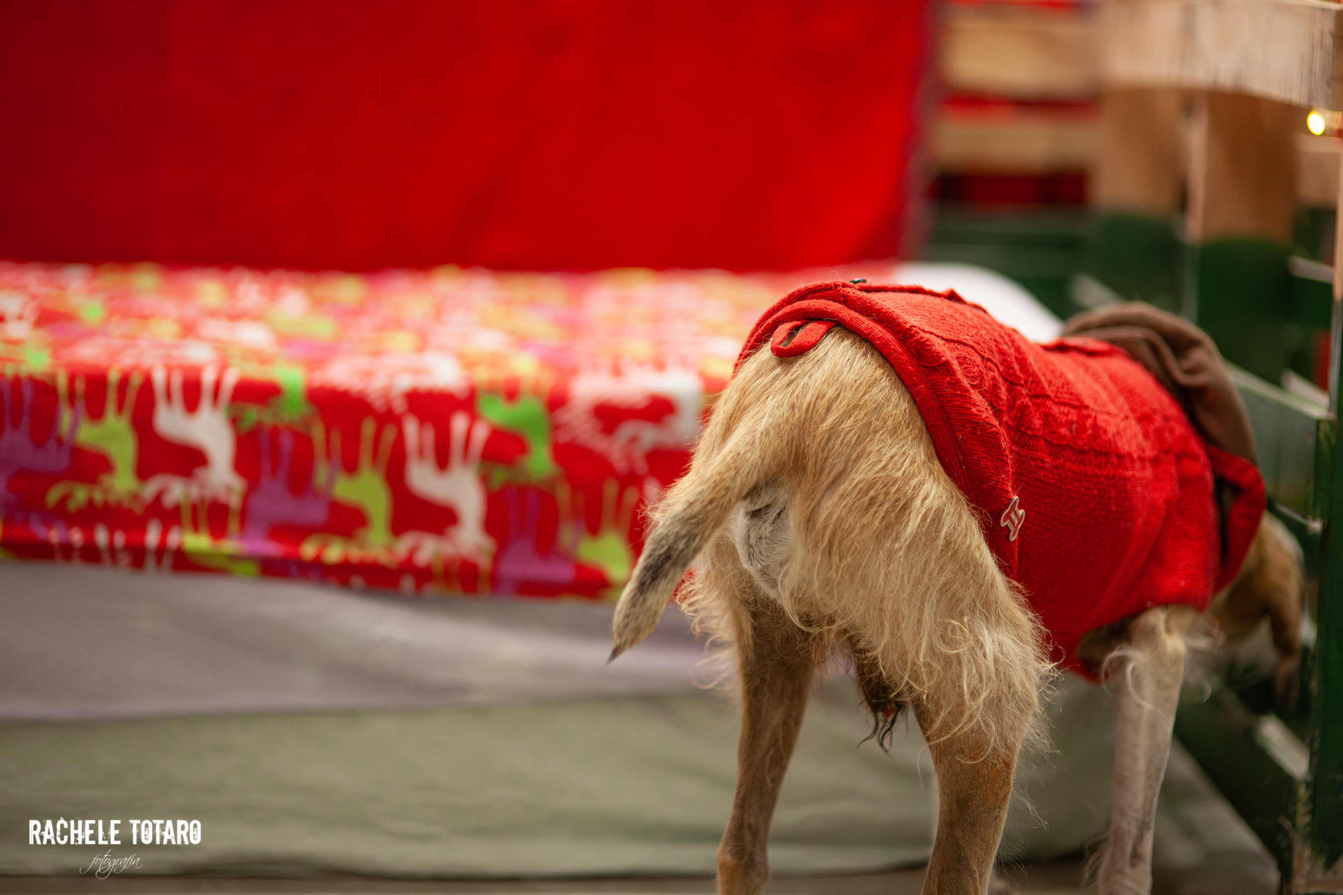 Momenti di tenerezza ed esplorazione