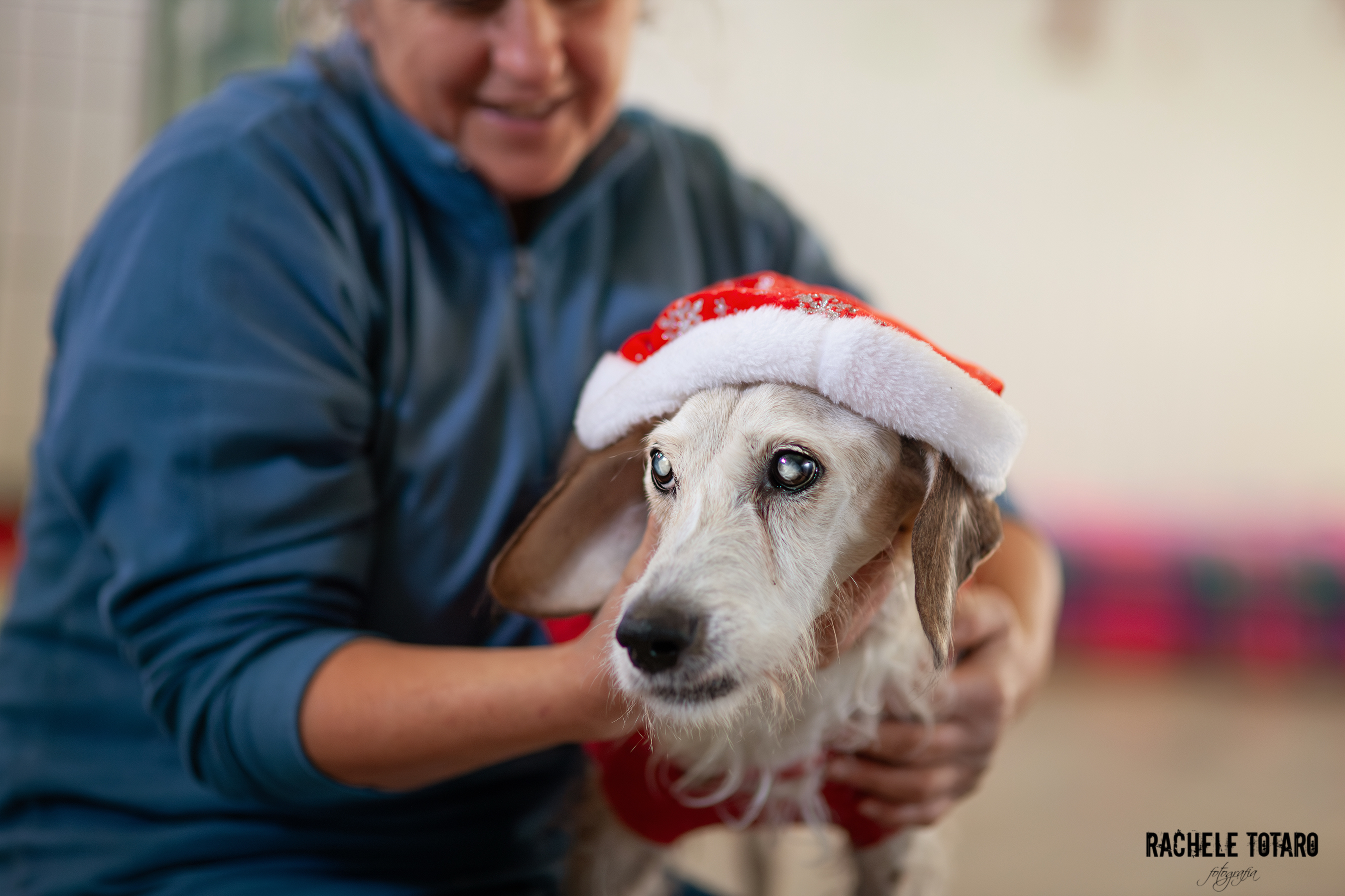 Baffo al sicuro a Progetto Pandora