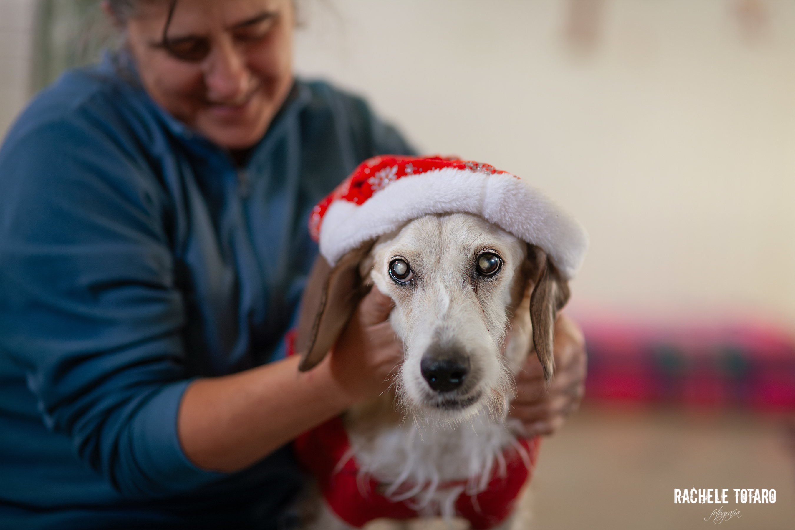 Baffo al sicuro a Progetto Pandora